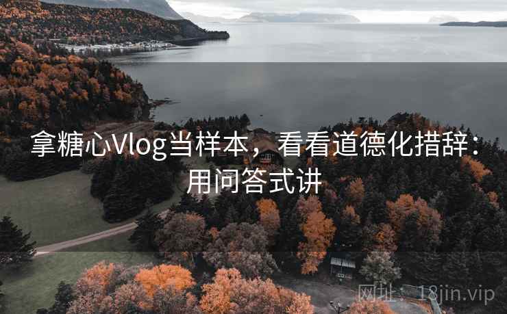 拿糖心Vlog当样本，看看道德化措辞：用问答式讲  第1张